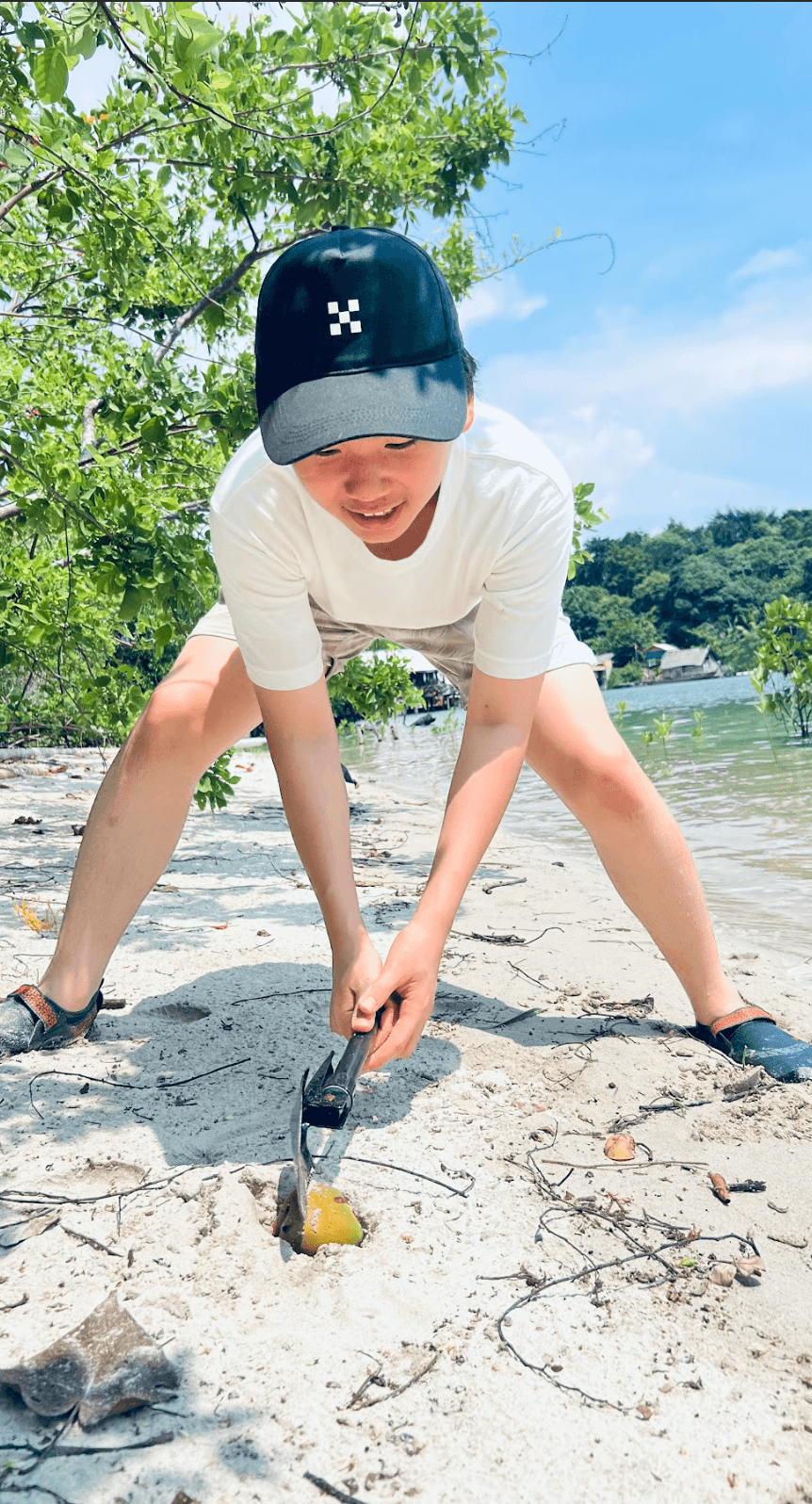 mangroves